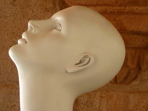 tipos de alopecia o calvicie